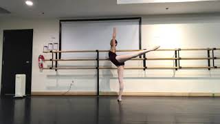 Pre-Elementary Barre Exercises